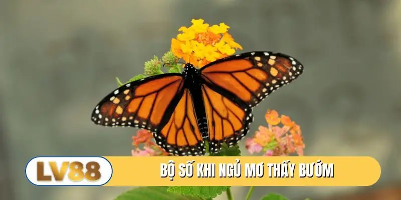 Bộ số khi ngủ mơ thấy bướm