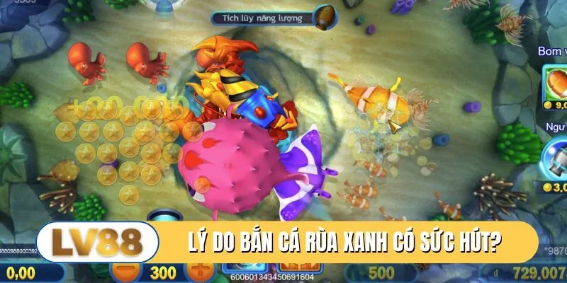 Lý do bắn cá rùa xanh có sức hút đặc biệt?