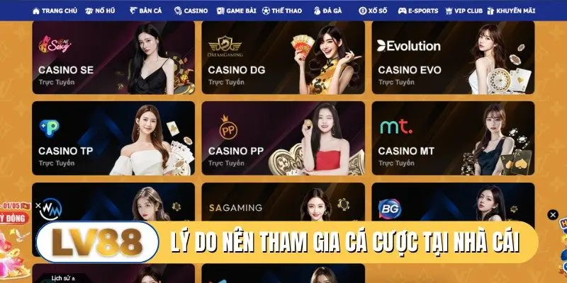 Lý do nên tham gia cá cược tại nhà cái